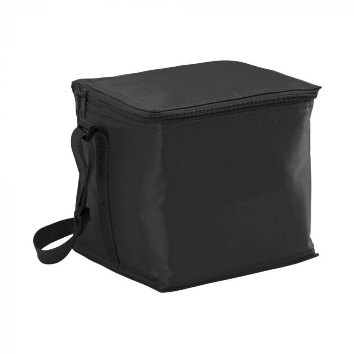 Small Cooler Bag