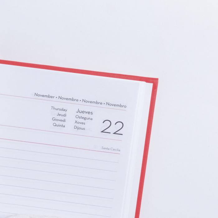 Diary Waltrex