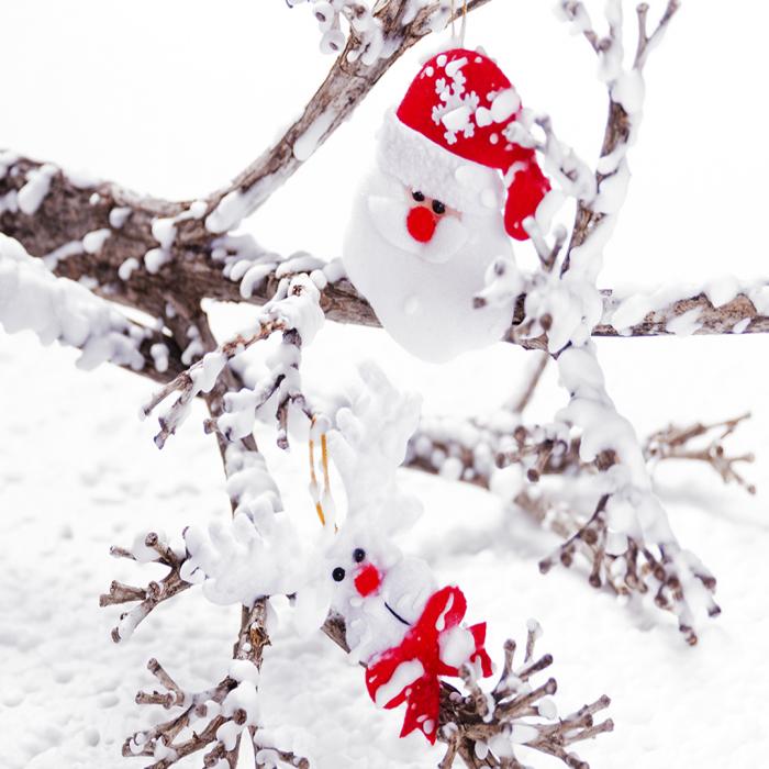 Christmas Decoration Set Tainox