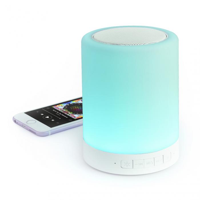 Speaker Alaric