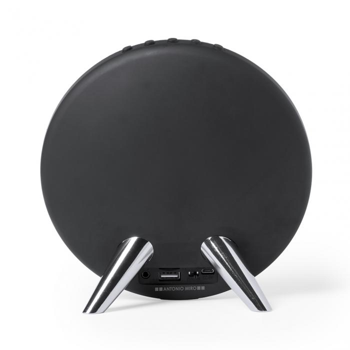 Speaker Holsux