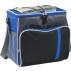 Polyester (600D) cooler bag Ravi