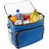 Polyester (600D) cooler bag Lance