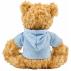 Plush teddy bear Monty