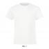 Regent Fit Kids Round Neck T-shirt
