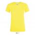 Regent Women's Round Collar T-shirt