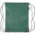 rPET polyester (210D) drawstring backpack Calix