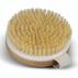Wooden Body Brush
