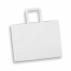 Large Flat Handle Paper Bag Landscape