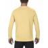 Adult Crewneck Sweatshirt