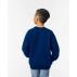 Gildan Heavy Blend Youth  Sweatshirt