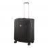Werks Traveler 6.0 Softside Medium