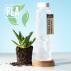 Bottle Kutyl