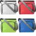 Polyester (600D) cooler bag Lance
