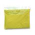 Universal Vinyl Poncho With Hood