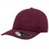 Atlantis Dad Hat