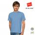 Hanes Men'S Heavyweight T