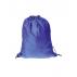 Carrier Backsack