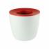 Mini Desk Plant Pot
