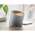 Limestone Speaker