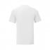 Mens Iconic T-shirt - Fruit of the Loom