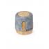 Boitok Speaker