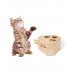 Kesel Pets Wooden Game