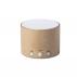 Recycled Cardboard Wireless Speaker