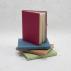 100% Real Poo - Mini Journals