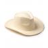 Fandon Straw Hat