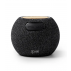 Bandini Speaker