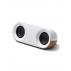 Mambo Speaker