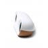 Mambo Speaker