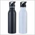 Stainless Steel Drink Bottle with Straw