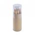 Coloured Pencils in Cardboard Tube