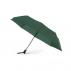 Umbrella Hebol