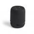 Speaker Braiss