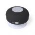 Speaker Rariax