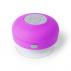 Speaker Rariax