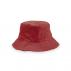Reversible Hat Nesy