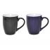 300ml Glencoe Mug/Coloured
