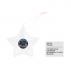 Star Shaped Clear Plastic Ornament