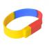Sectional Coloured Wristbank Flash Drive