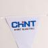 Custom PVC Pennant String Flags