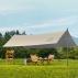 Medium Camping Canopy