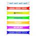 Thunder Cheering Sticks