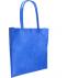 Texas Conference Bag