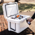 31L Cooler Box