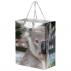 Full Colour Gloss Laminated Bag Large With Rope Handle