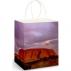 Full Colour Paper Bag Large